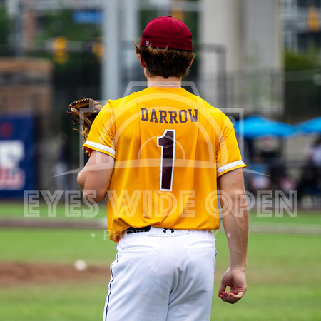 Bunt Cakes vs The Red Foxes