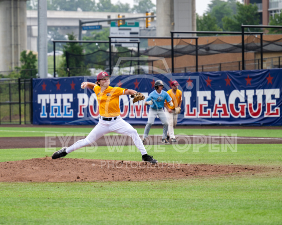 Bunt Cakes vs The Red Foxes