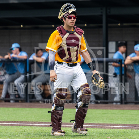 Bunt Cakes vs The Red Foxes